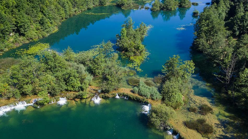 Kuca Za Odmor Zeleni Biser Villa Generalski Stol Eksteriør billede